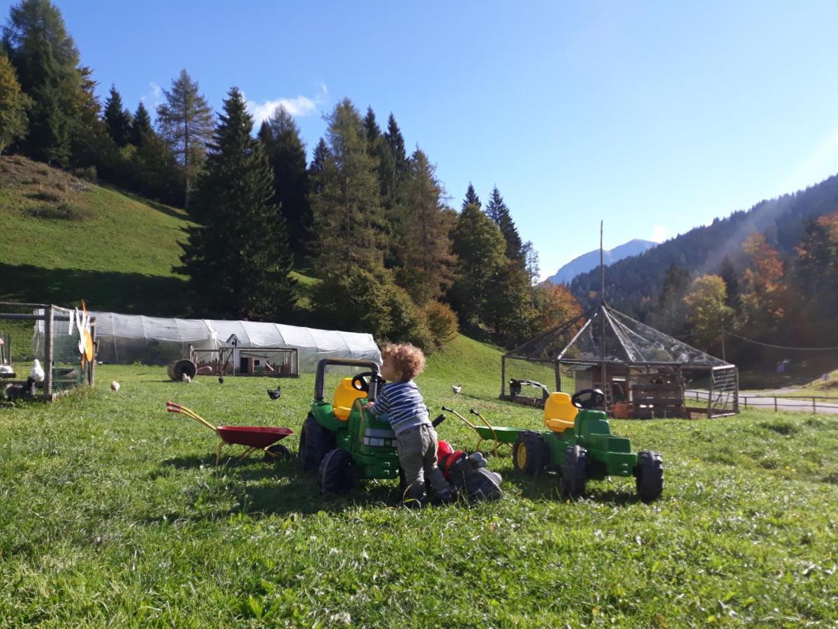 Agritur Broch Βίλα Fiera Di Primiero Εξωτερικό φωτογραφία